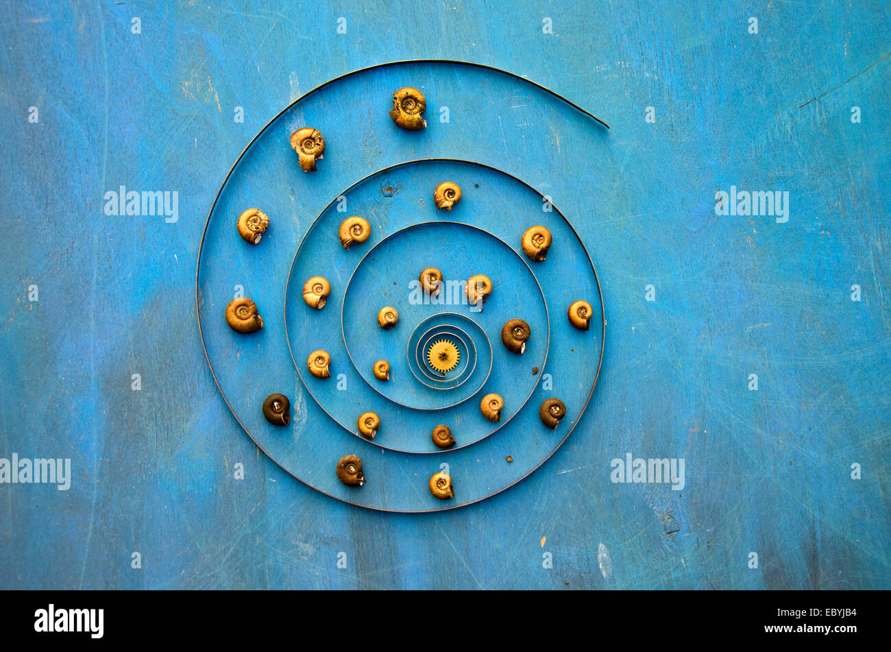 big clock spring spiral and snail shells time concept Stock Photo