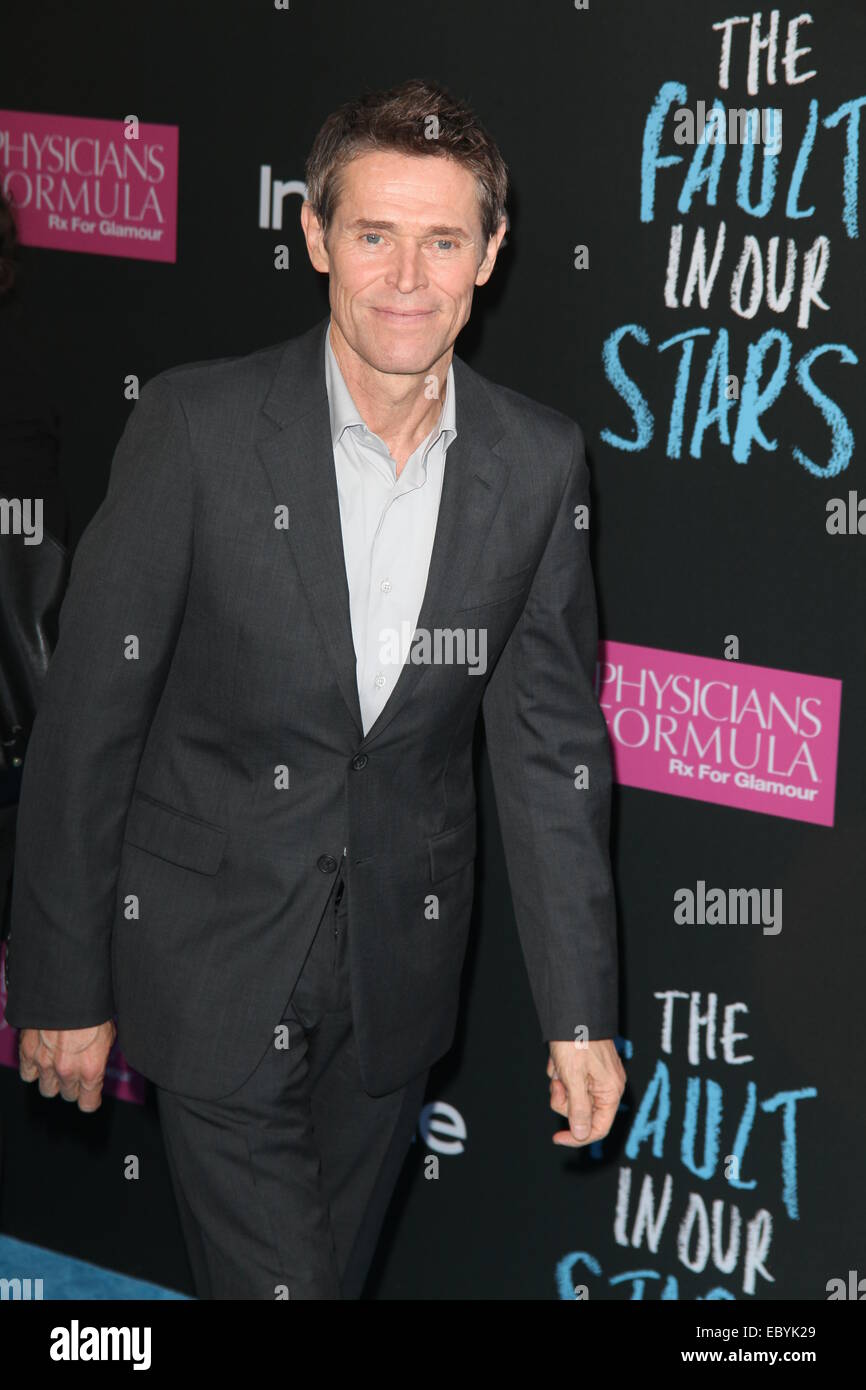 premiere-of-the-fault-in-our-stars-at-the-ziegfeld-theater-featuring
