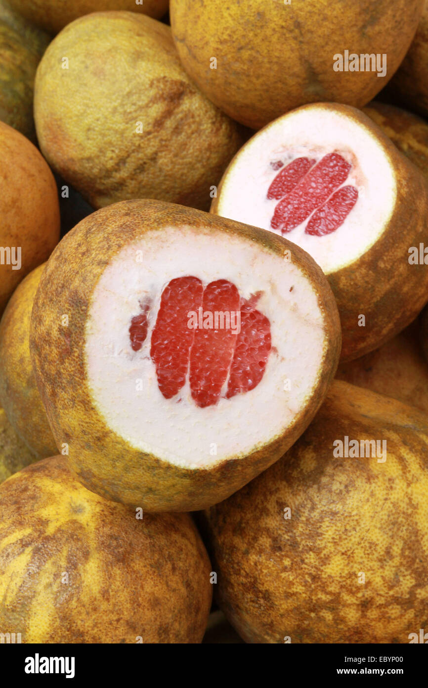 Indian apple root High Resolution Stock Photography and Images Alamy