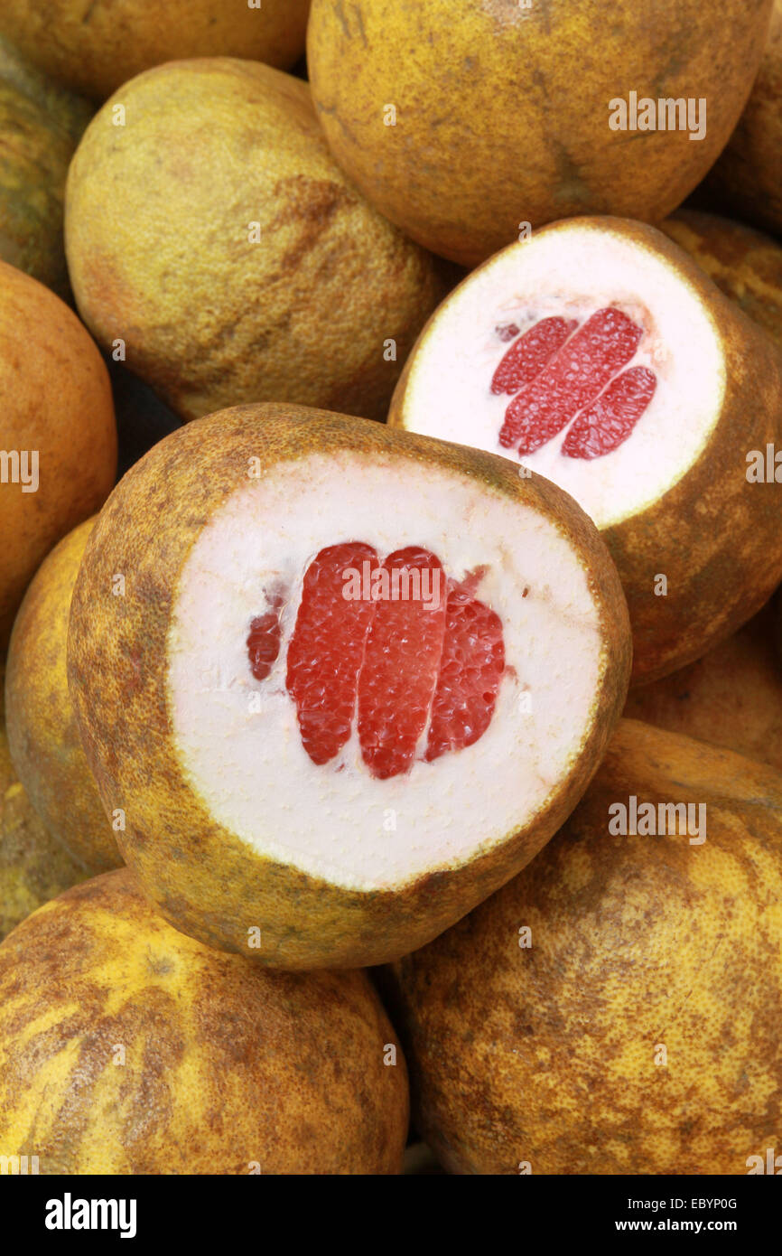 Indian pomelo hires stock photography and images Alamy
