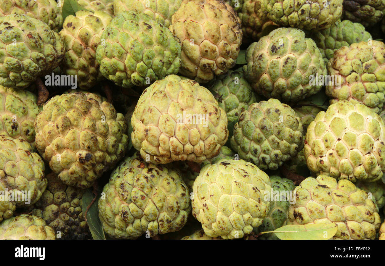 Bangladeshi fruits hires stock photography and images Alamy