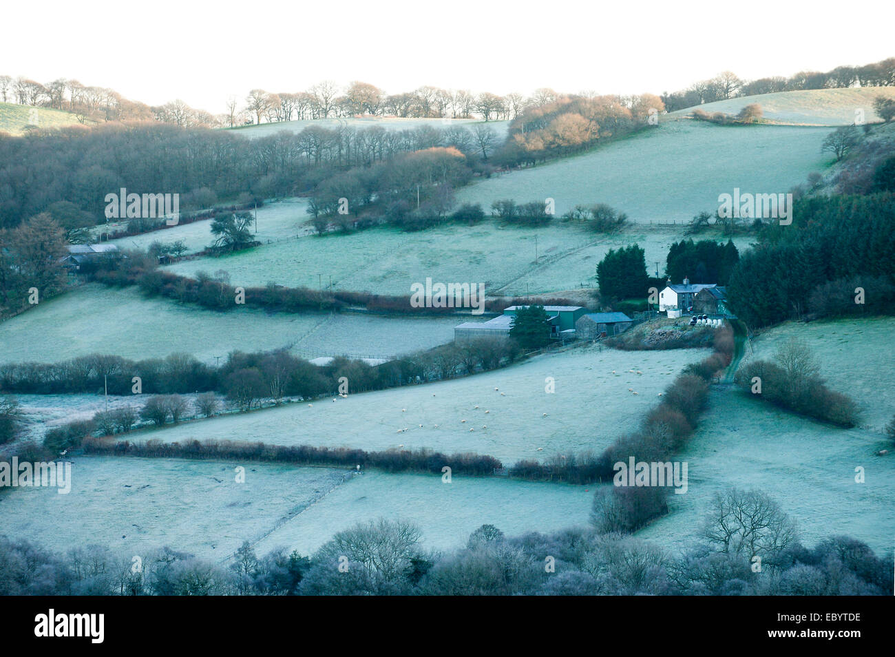 Powys, UK. 6th December, 2014. Frost in Mid Wales this morning after a cold night with temperatures dropping to -2deg C. Credit:  Graham M. Lawrence/Alamy Live News. Stock Photo
