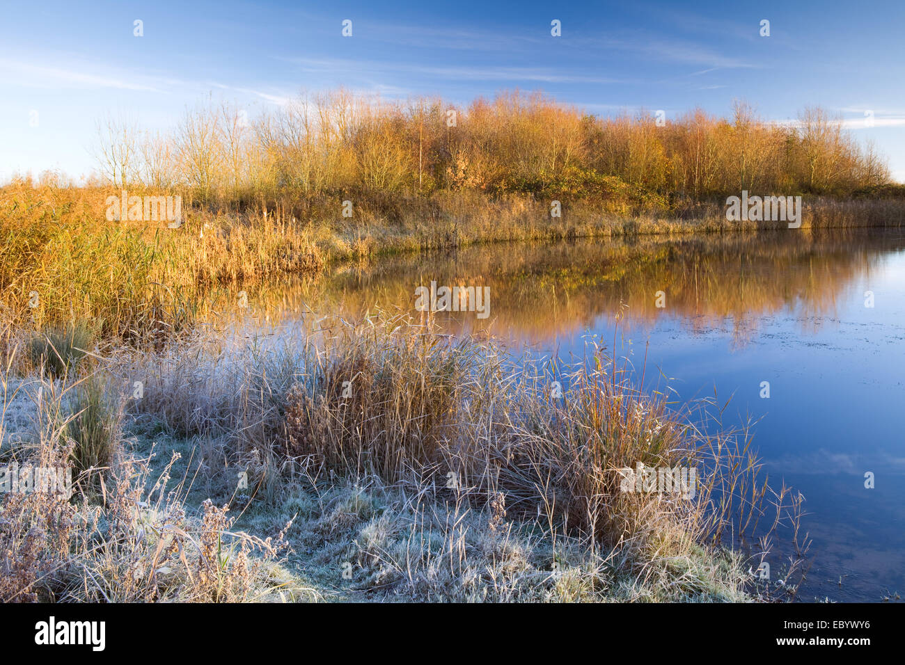 Barton-upon-Humber, North Lincolnshire, UK. 06th Dec, 2014. A cold and frosty morning at the Waters' Edge Country Park in North Lincolnshire. Barton-upon-Humber, North Lincolnshire, UK. 6th December 2014. Credit:  LEE BEEL/Alamy Live News Stock Photo