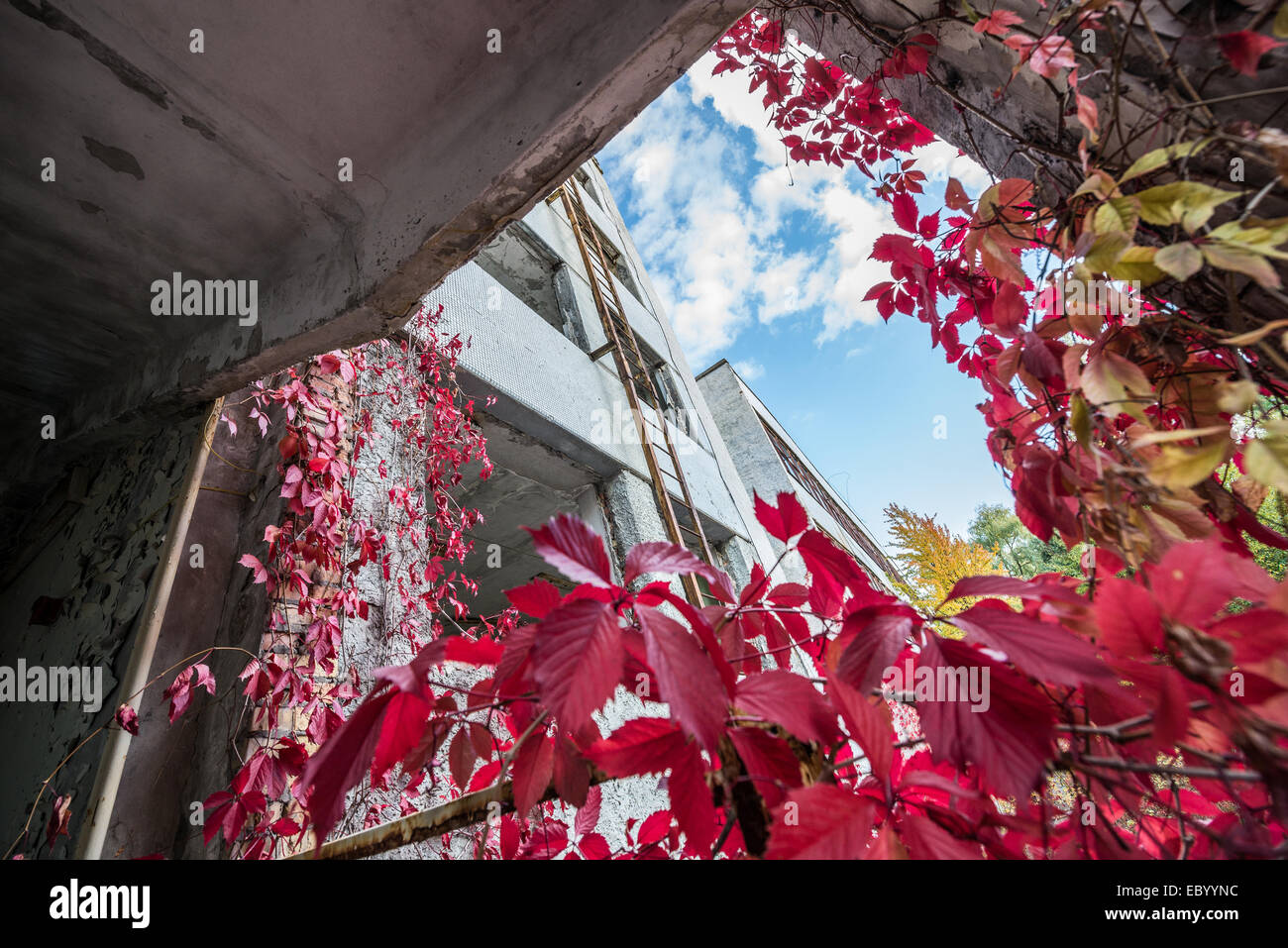 JUPITER factory in Pripyat abandoned city, Chernobyl Exclusion Zone ...