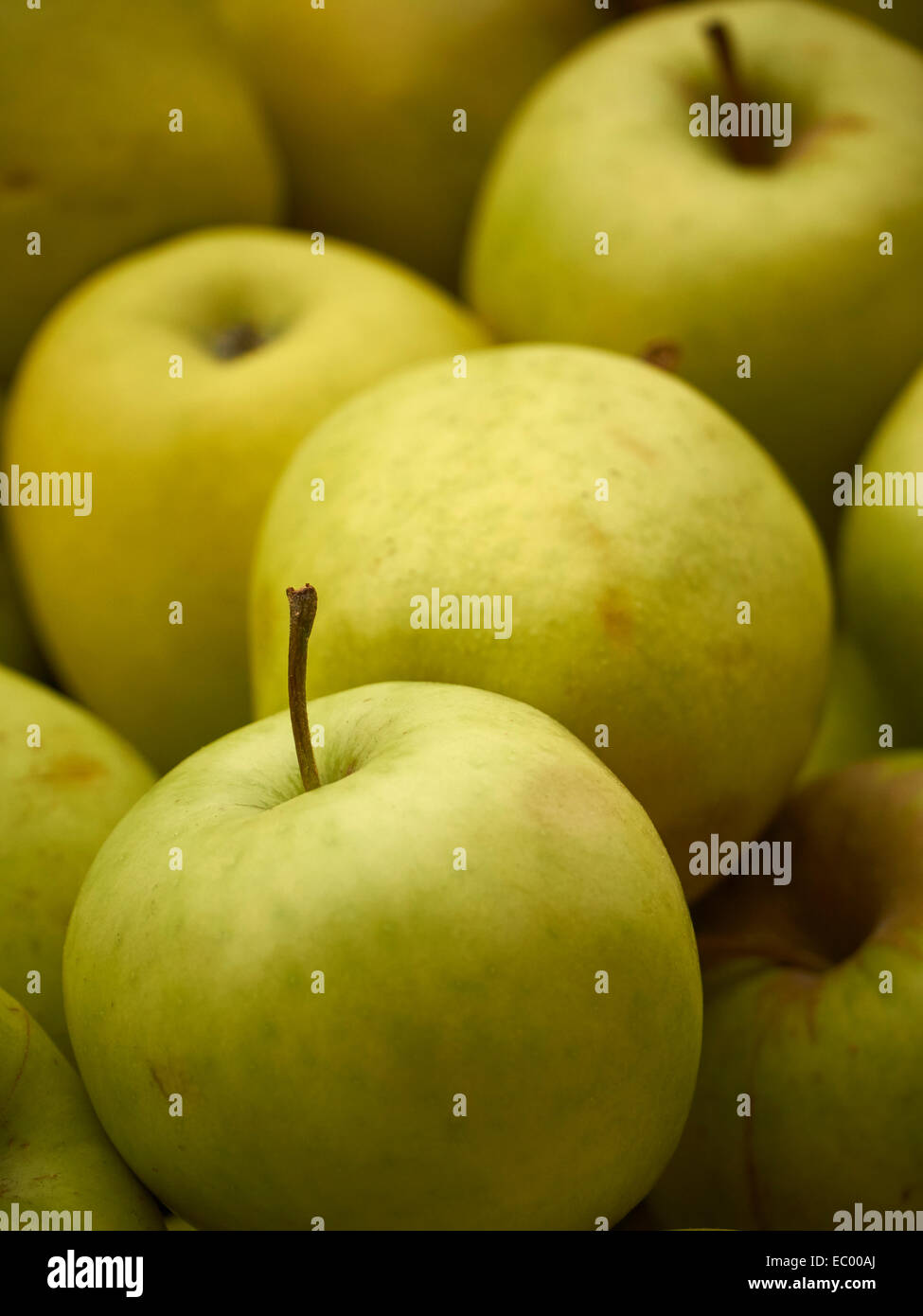 Golden Apples Stock Photo Alamy