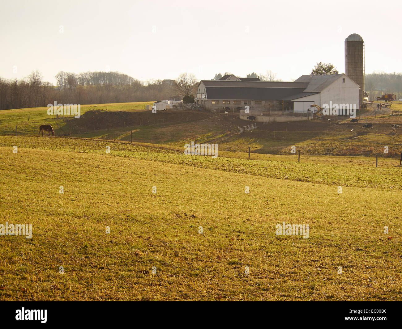 farm and home, Manhiem, Lancaster County, Pennsylvania USA Stock Photo