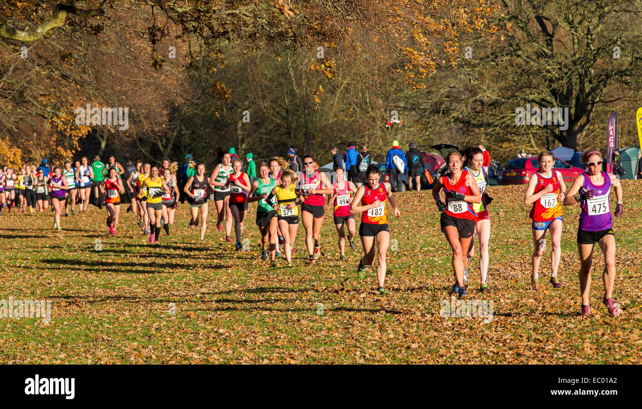 Cross country ladies hires stock photography and images Alamy