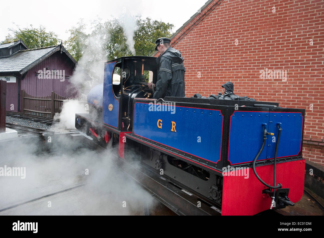 The Driver of 10 and a 1/4 inch gauge Steam locomotive No 1 'Alan Bloom' uses his injectors as he moves his engine on the Garden Line Stock Photo