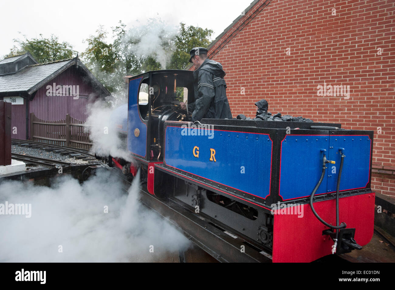 The Driver of Blue 10 and a 1/4 inch gauge Steam locomotive No 1 'Alan Bloom' uses his injectors as he moves his engine on the Garden Line Stock Photo