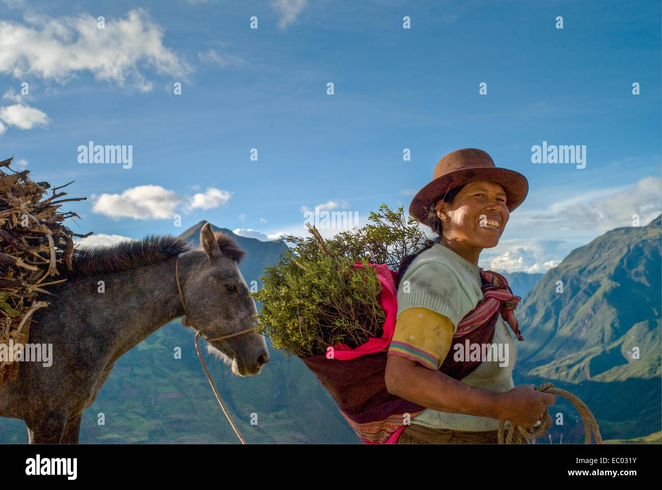 A Quechua shepherdess leading her horse as they gather firewood in the