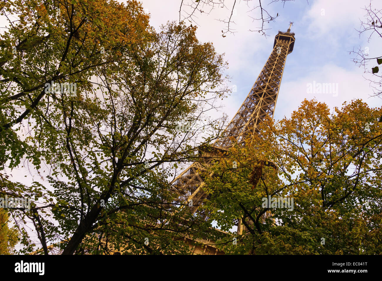 The Eiffel Tower viewed through trees in autumn. Paris, France. Stock Photo