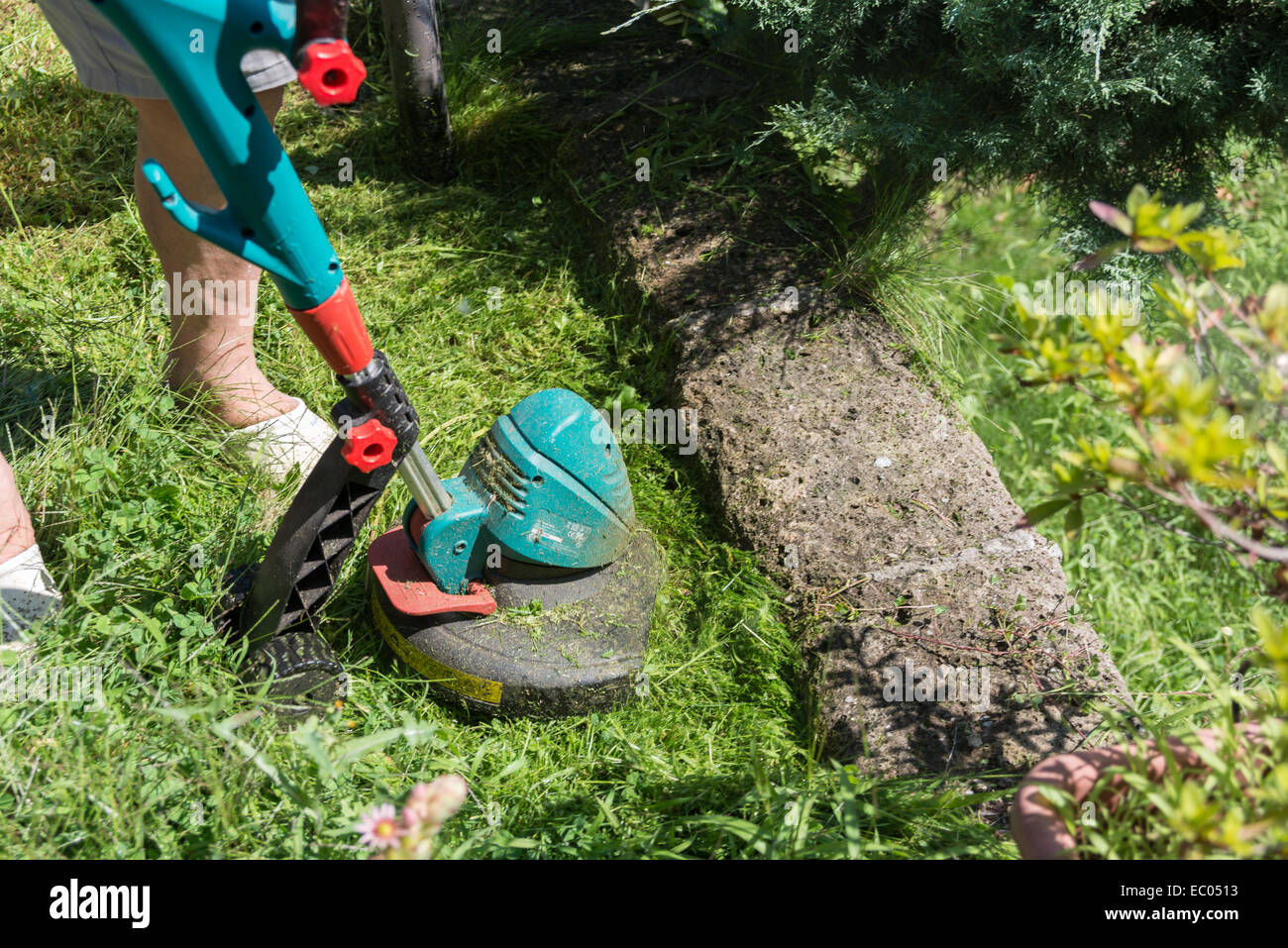 Man busy and concentrated trimming grass in the garden with brush cutter Stock Photo