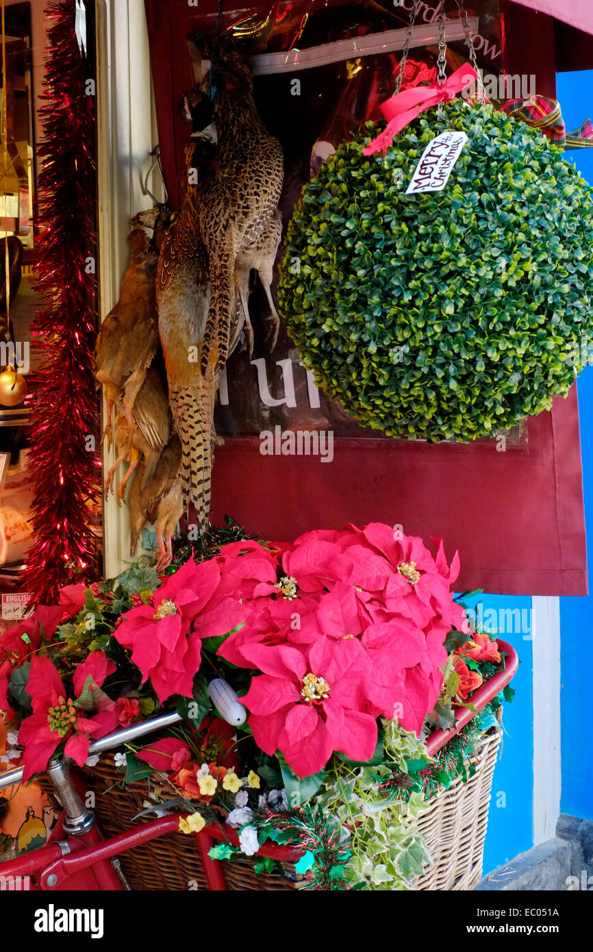 pheasants and game birds hang on display outside of a butchers shop as christmas approaches Stock Photo