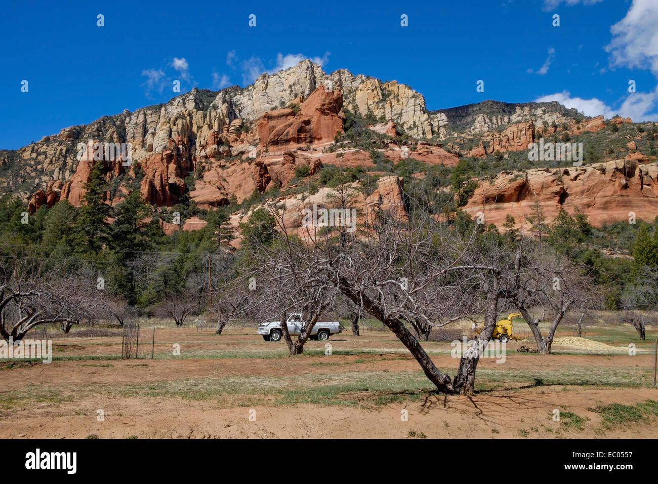 The apple orchard at Slide Rock State Park in Oak Creek Canyon, Arizona