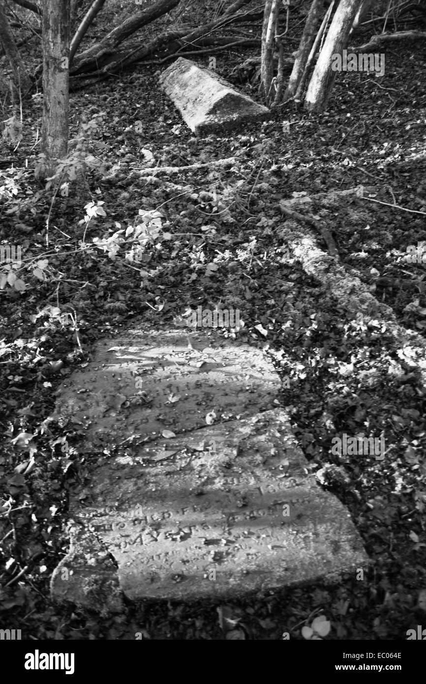 Abandoned St Mary's Churchyard, Eysey, near Cricklade, Thames path Stock Photo