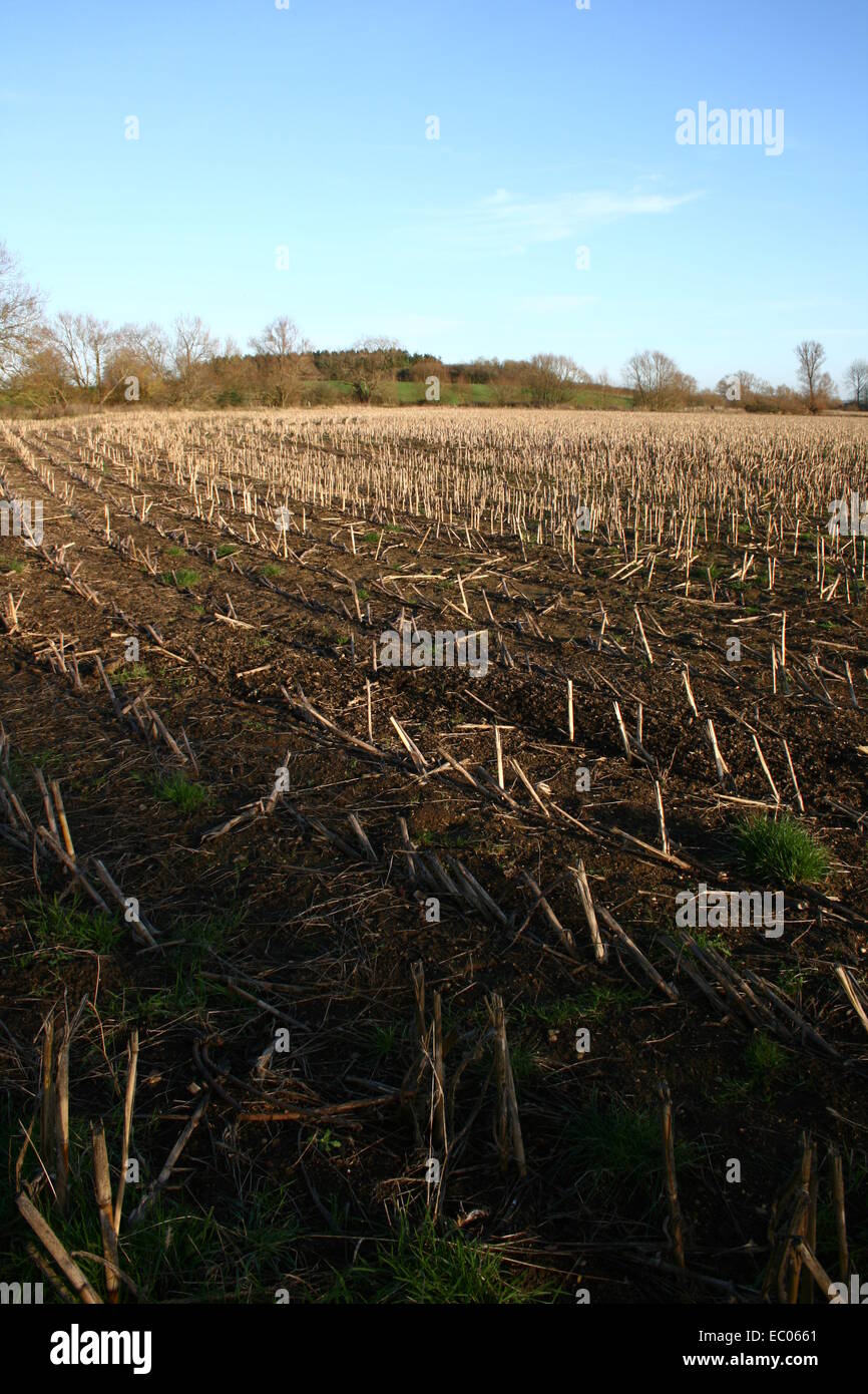 Eysey Hill with a barren farmer's field in the foreground Stock Photo