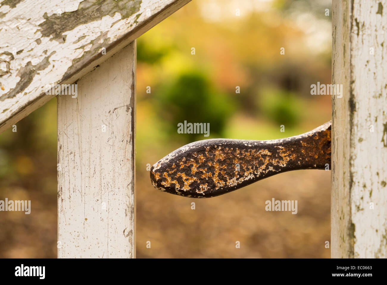 An old iron latch on a wooden gate in a country garden, in East Lothian, Scotland. Stock Photo