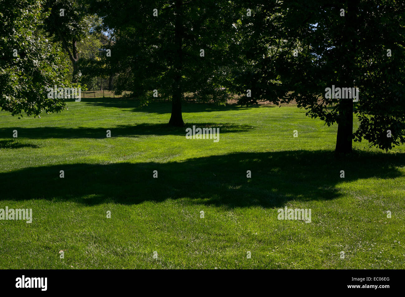 Lawn park park sun hi-res stock photography and images - Alamy