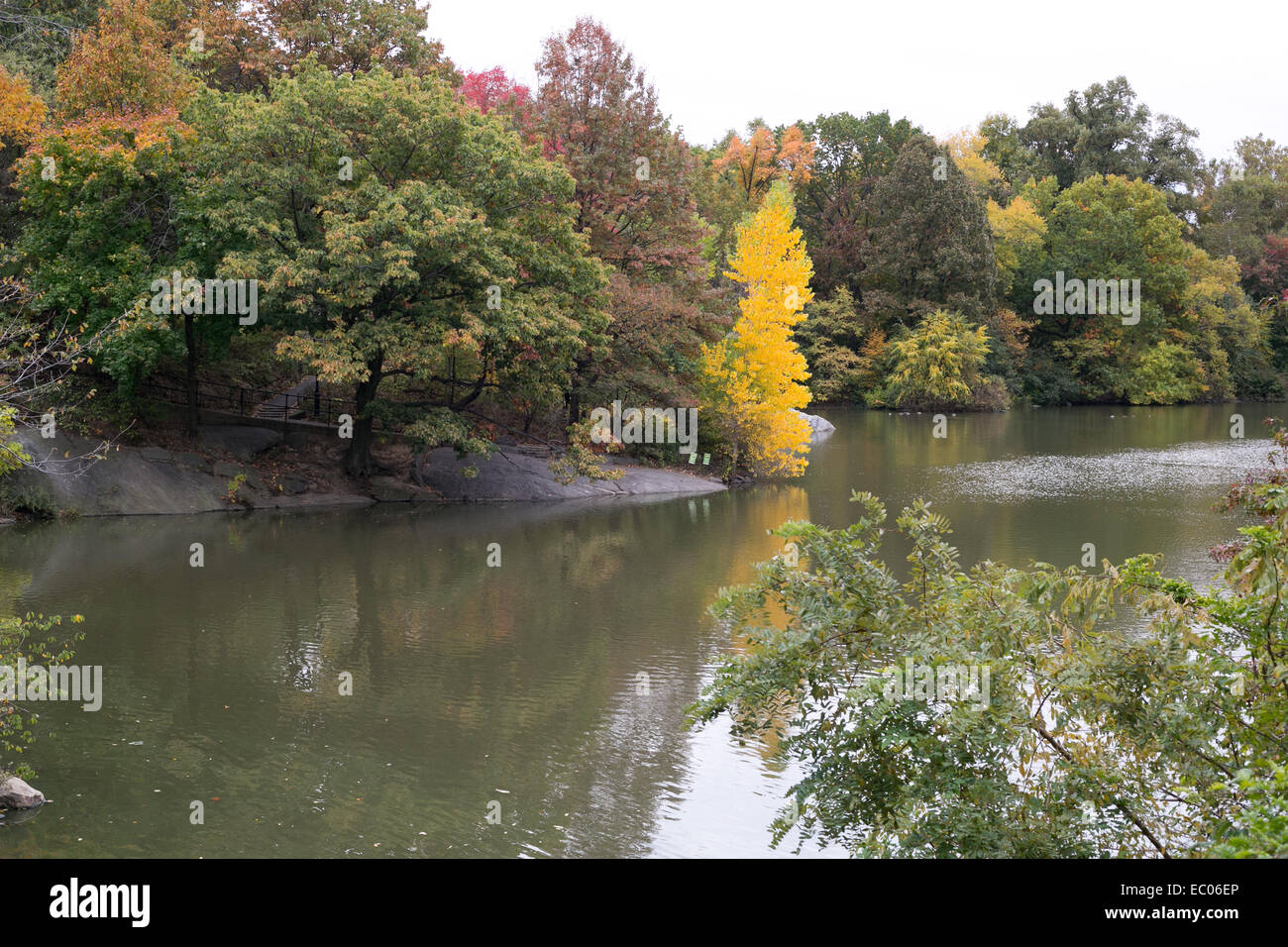 Lake lined with fall color trees in Central Park, New York Stock Photo ...
