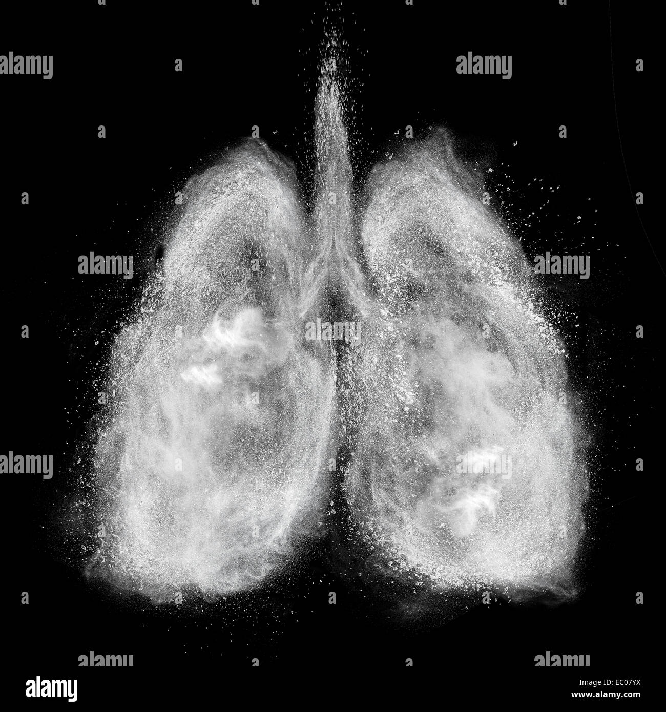 Lungs made of white powder explosion isolated on black background Stock Photo