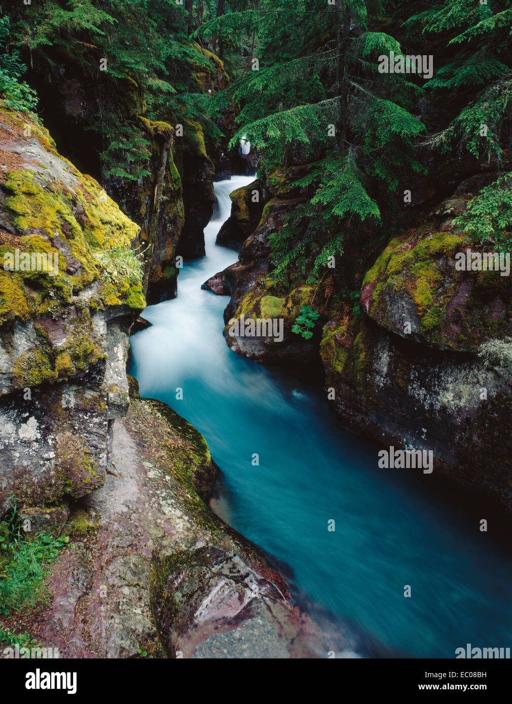 The deep blue water of famous Avalanche Creek gorge, rushes through a narrow passage. Glacier National Park, Montana Stock Photo