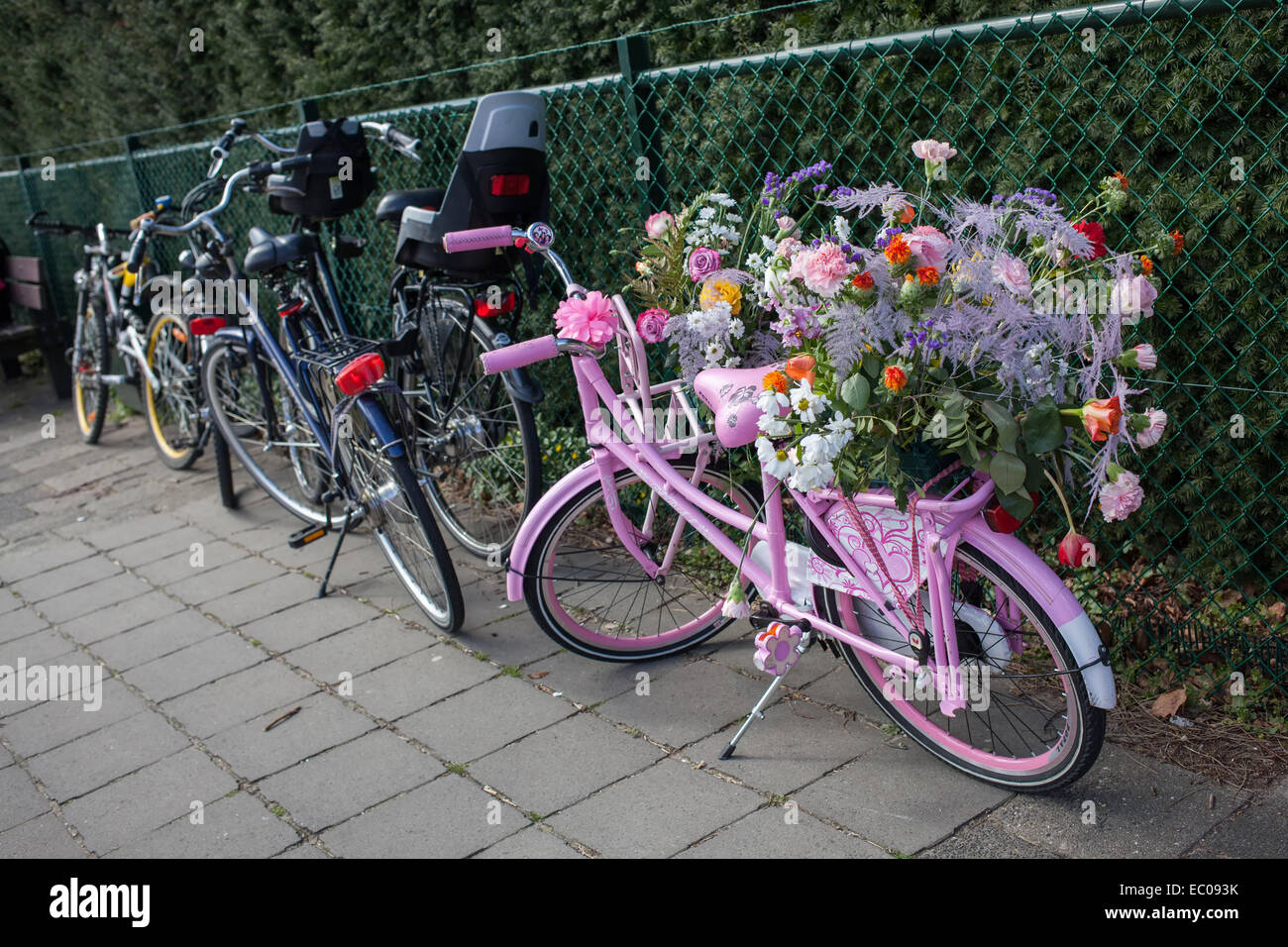 Lisse, Netherlands - April 20, 2013: Bicycle on flower parade. The annual Flower Parade in Holland between Noordwijk and Haarlem Stock Photo