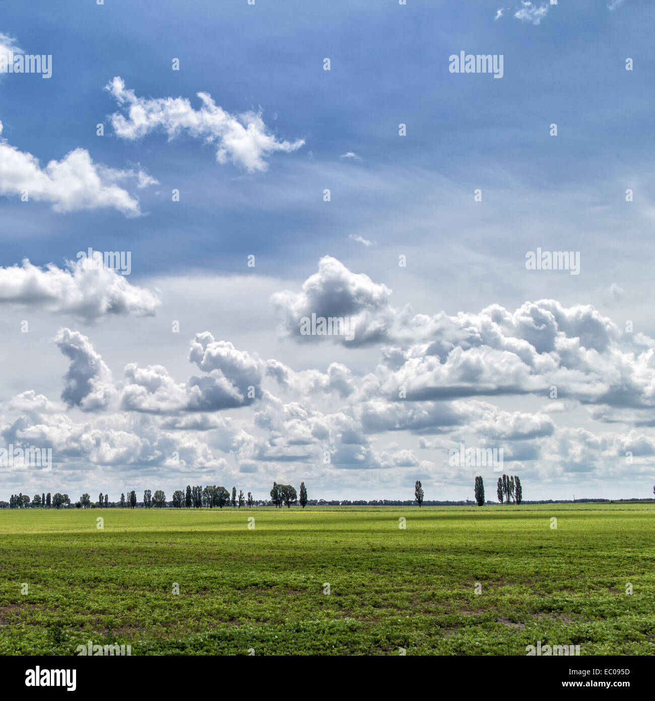 Summer landscape - green field under blue sky Stock Photo - Alamy