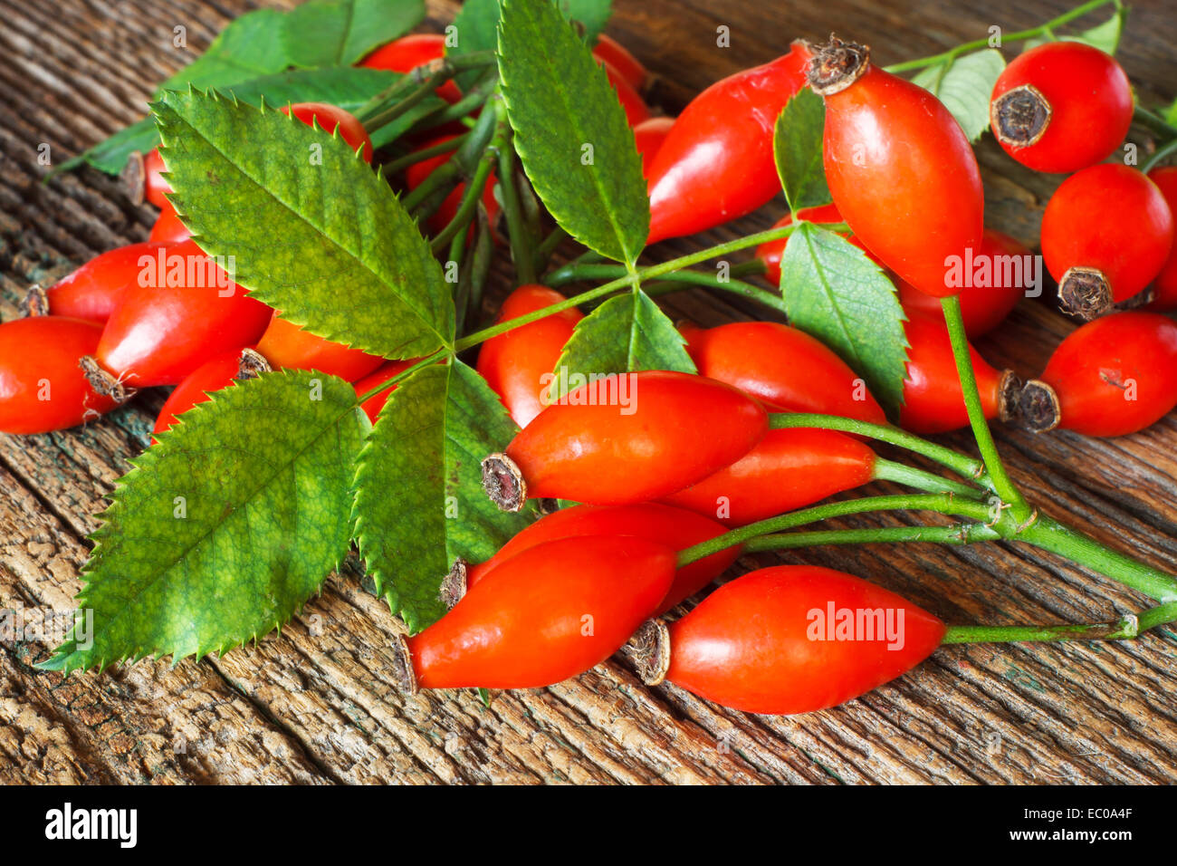 Green fruit rose hi-res stock photography and images - Alamy