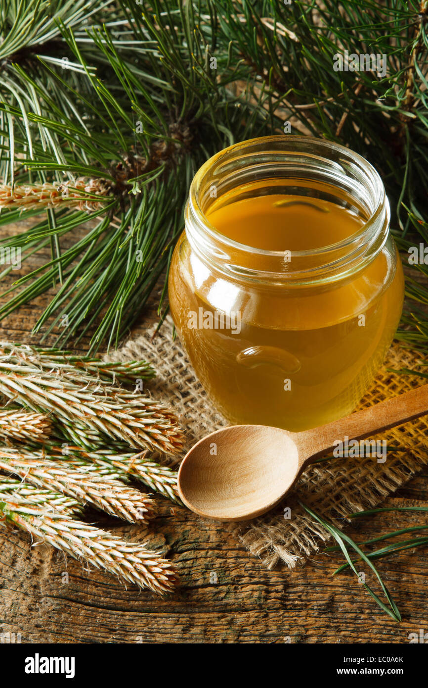 Homemade syrup made from green young pine buds and sugar Stock Photo