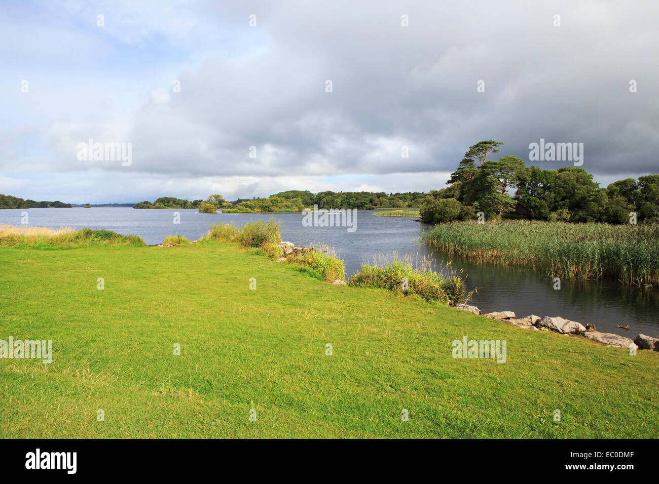 Ross Bay Lough Leane Lower Lake Stock Photo Alamy