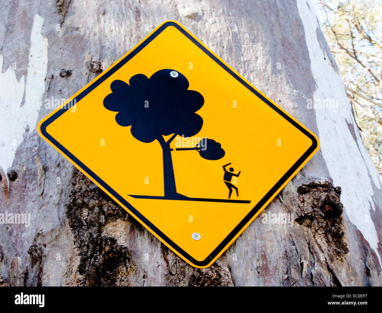 Warning sign on tree trunk alerting people to danger of branches of