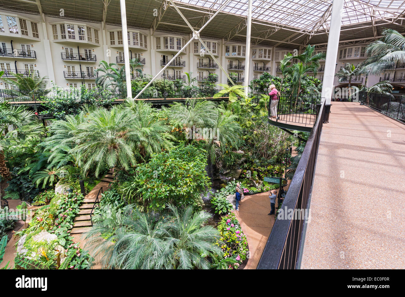 Tennessee Nashville Gaylord Opryland Resort Hotel Garden Stock