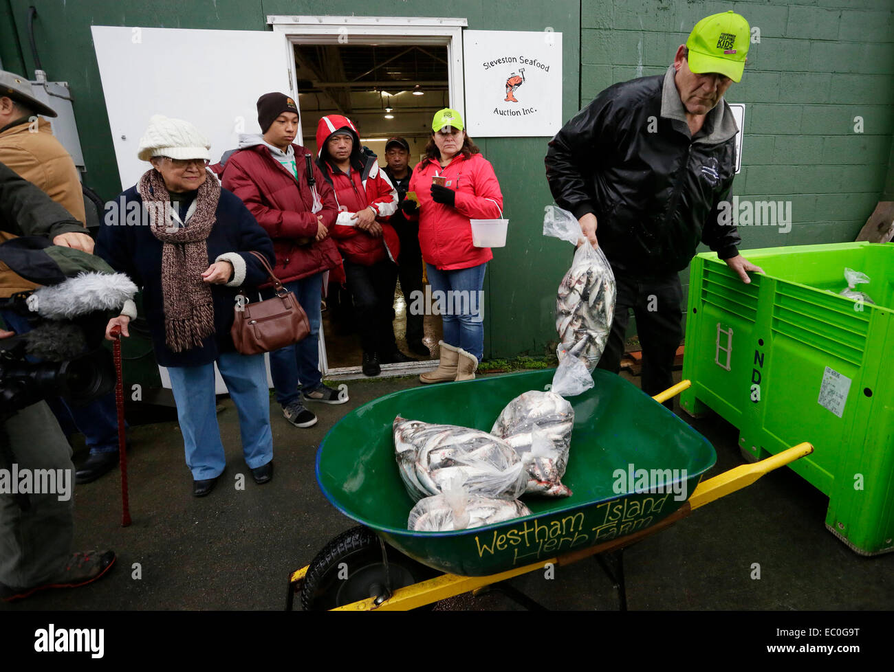 Fish tonnes hires stock photography and images Alamy