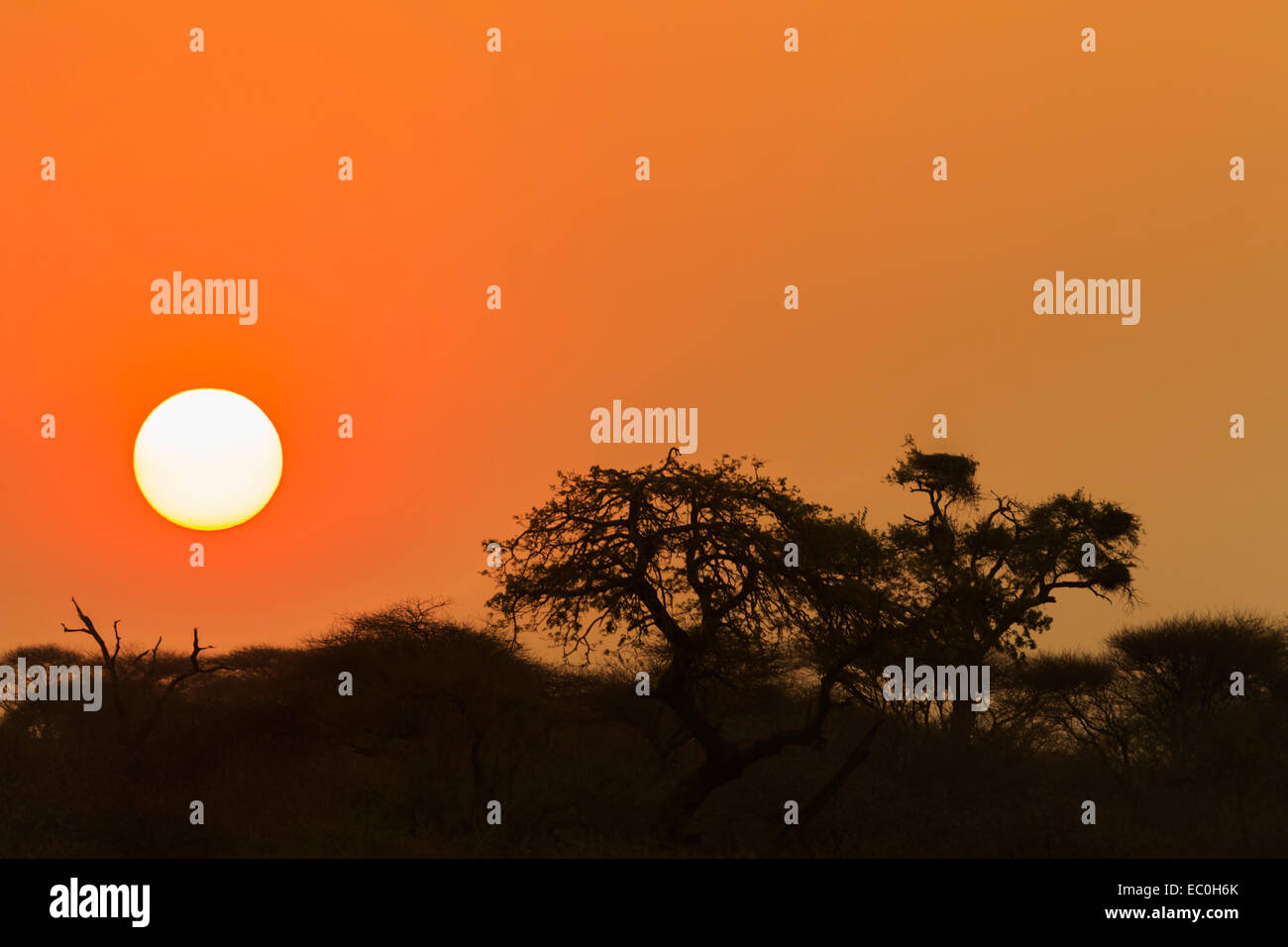 Sunset, Kruger national park Stock Photo