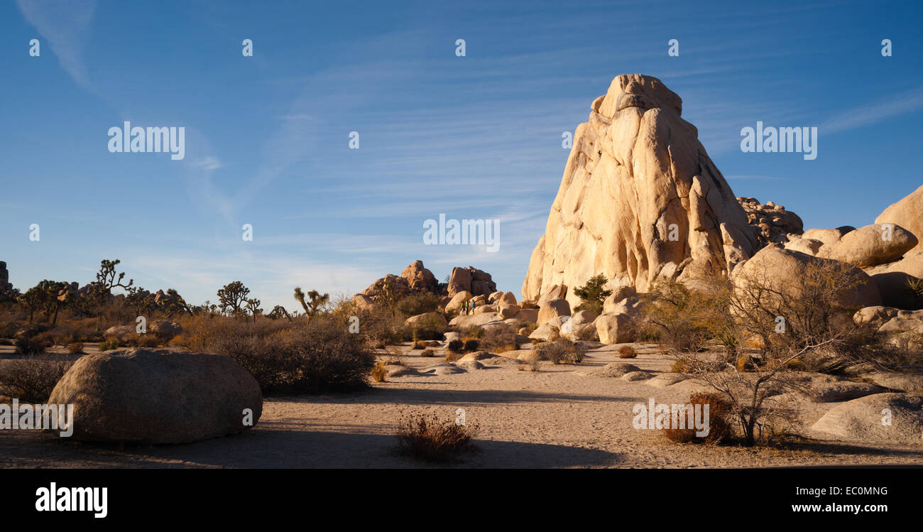 Blue skies and good weather in late November at Joshua Tree Stock Photo