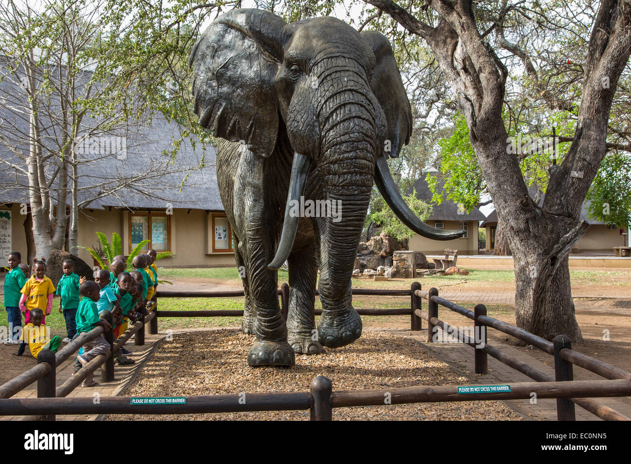 Elephant statue, Elephant museum, Letaba rest camp, Kruger national park, South Africa Stock Photo