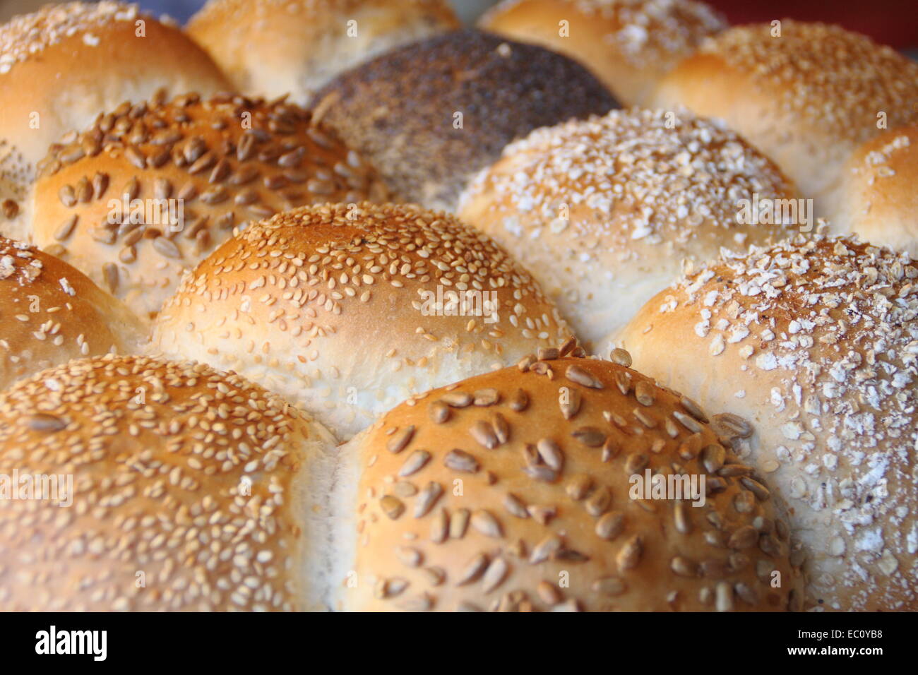 Rustic, freshly baked seeded bread rolls displayed for sale, UK Stock Photo