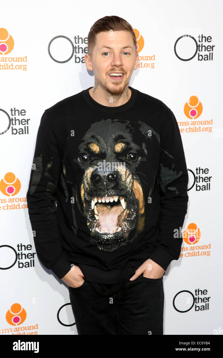 jumpers for rottweilers