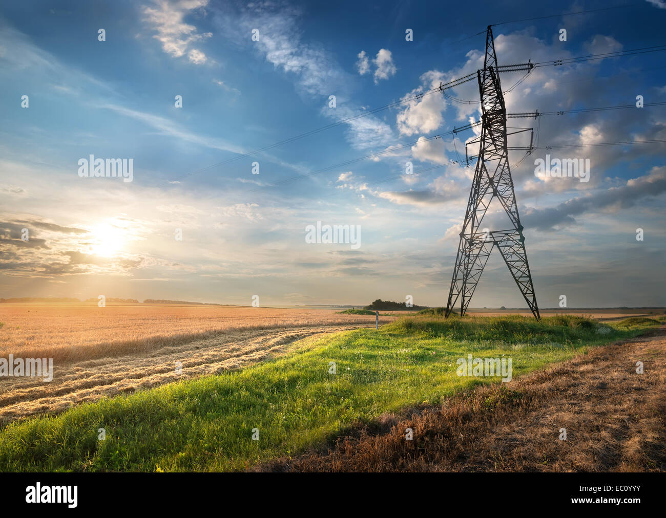 Electric pole in the autumn field at sunrise Stock Photo - Alamy