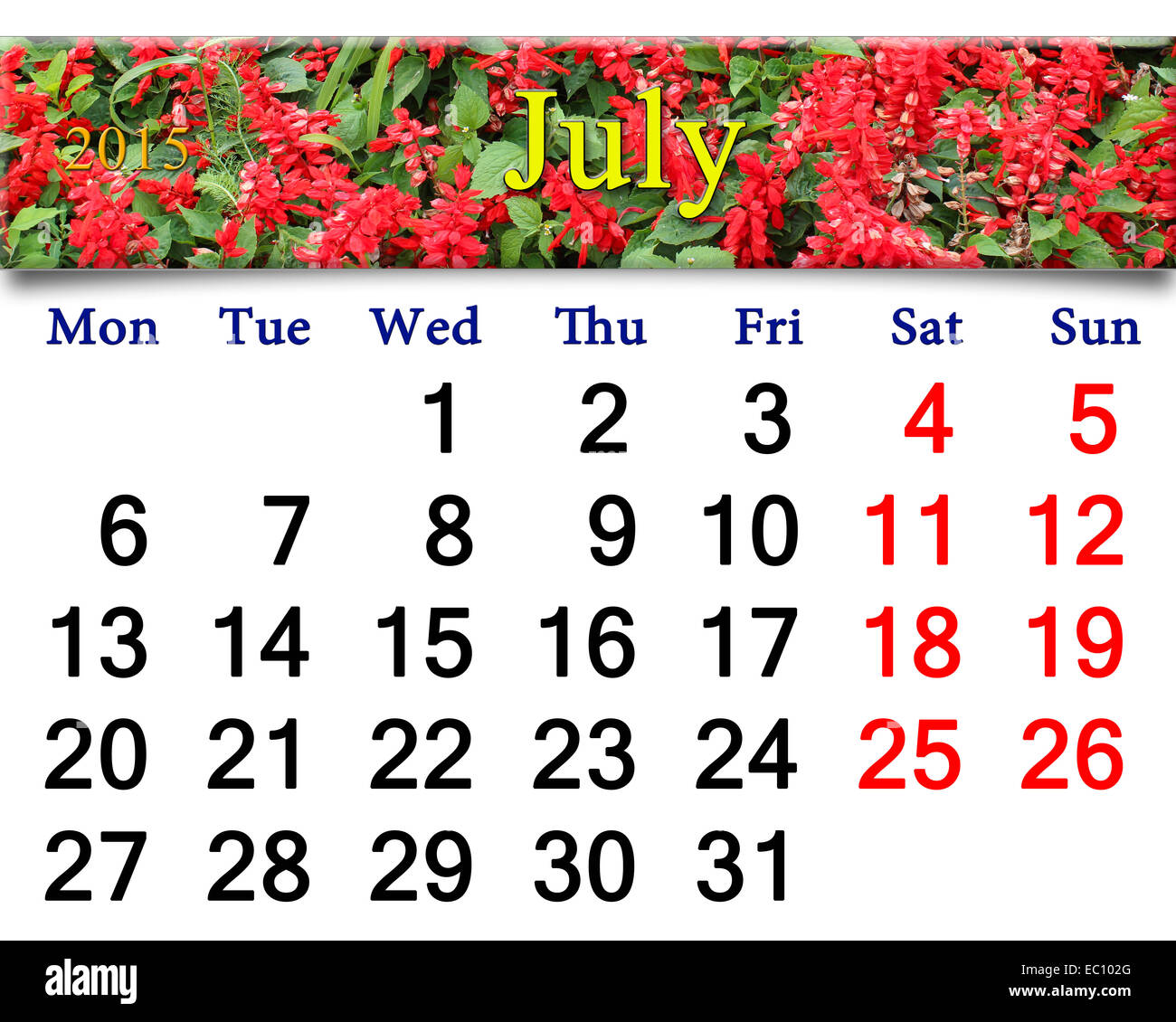 calendar for July of 2015 year with ribbon of red salvia Stock Photo