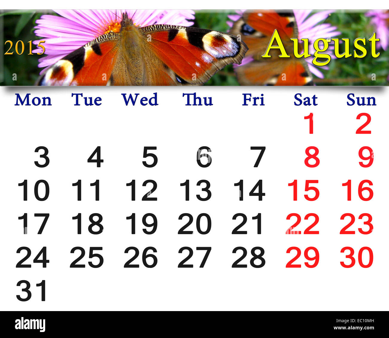 Beautiful Calendar For August Of 15 Year With Image Of Butterfly Of Peacock Eye Stock Photo Alamy