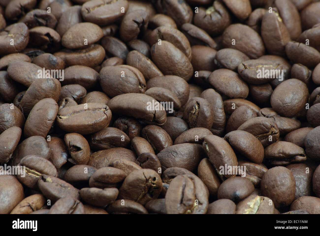 Closeup of many roasted brown coffee beans Stock Photo - Alamy