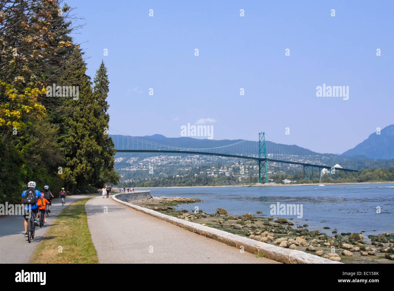 Bicyclists and pedestrians in Stanley Park with Lions Gate Bridge in background Stock Photo