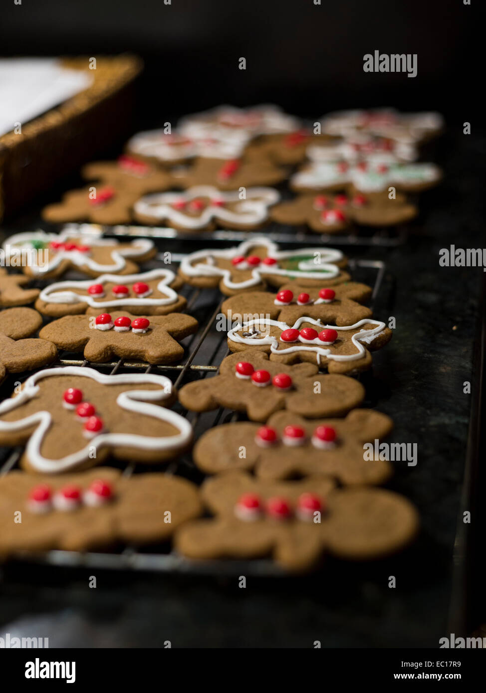 Gingerbread cookies on a cookie sheet, fresh from the oven. Stock Photo