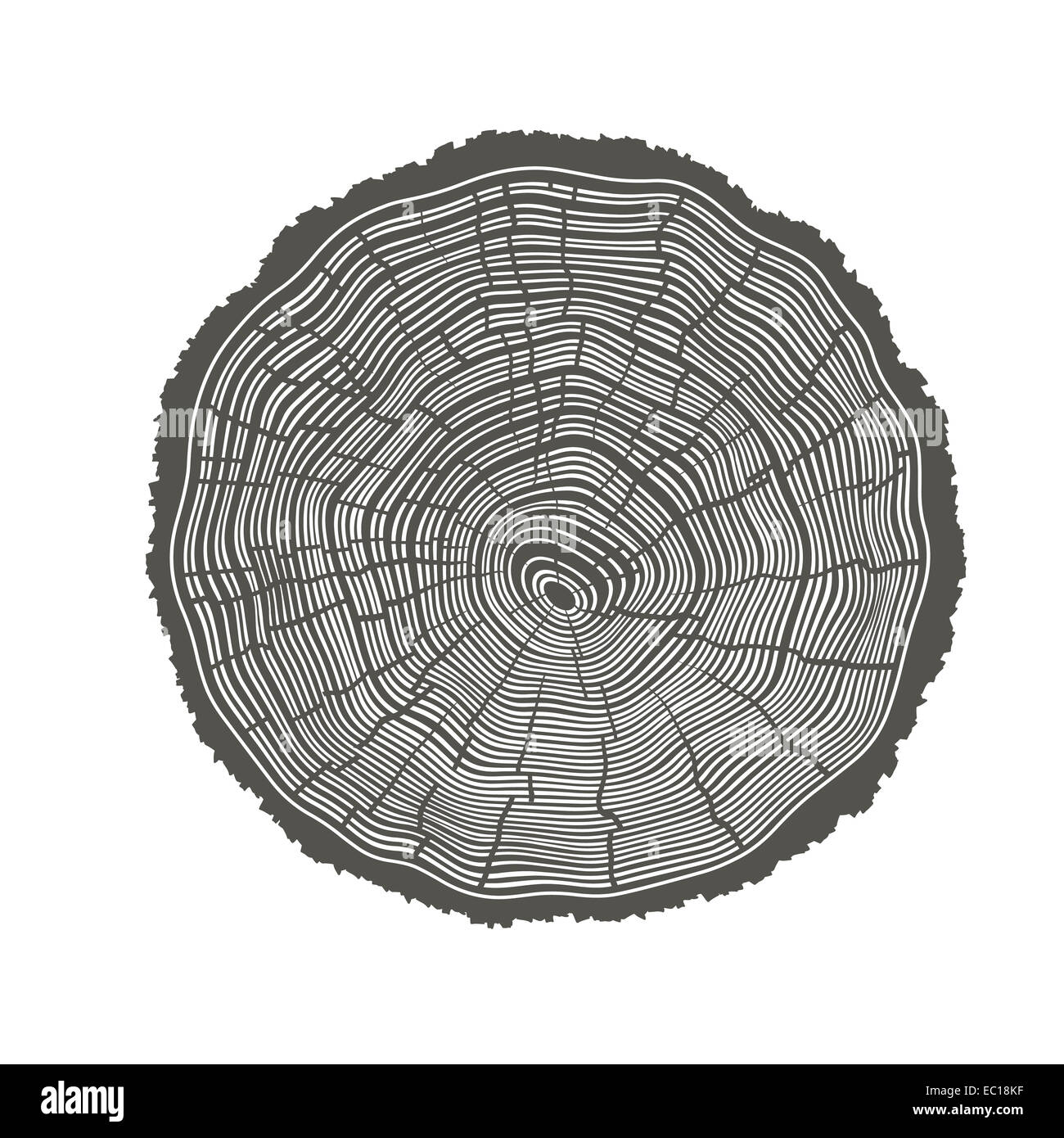 Tree Rings Illustration. Template for annual reports Stock Photo