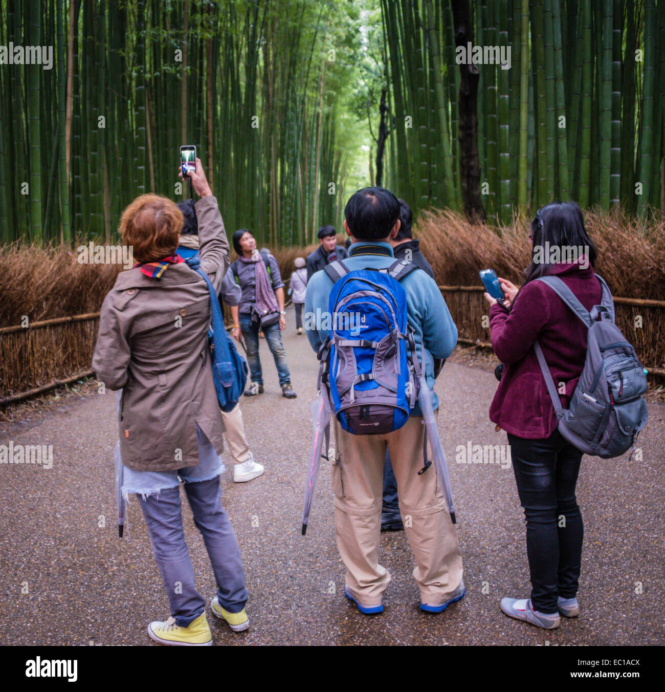 Tourists enjoying the attraction of the bamboo grove at Arashiyama, Kyoto, Japan. Stock Photo