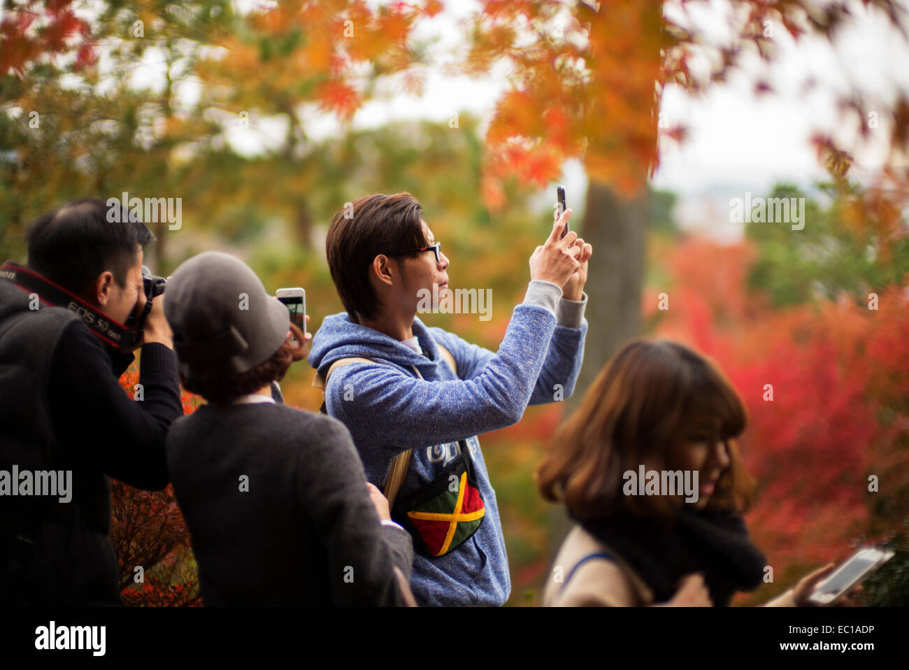 Tourists taking photographs of the autumn colors in Arashiyama, Kyoto, Japan. Stock Photo