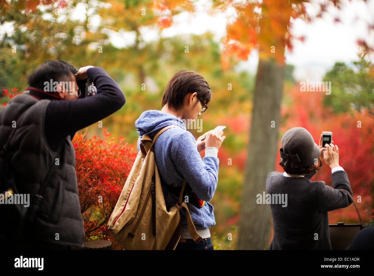 Tourists taking photographs of the autumn colors in Arashiyama, Kyoto, Japan. Stock Photo