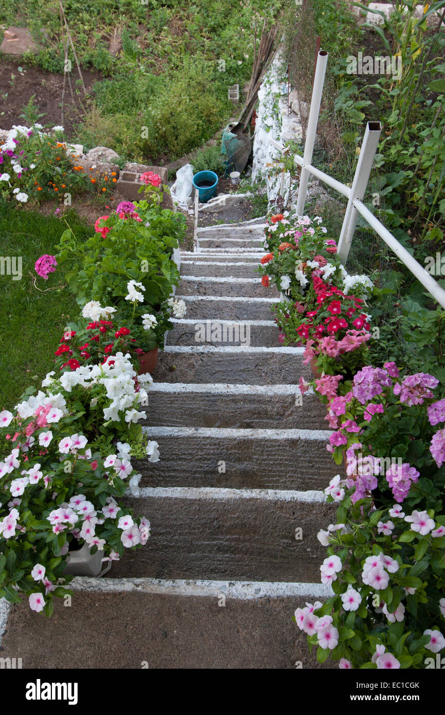 Stair with flowers at Kontovazena town. Arcadia, Peloponnese, Greece Stock Photo