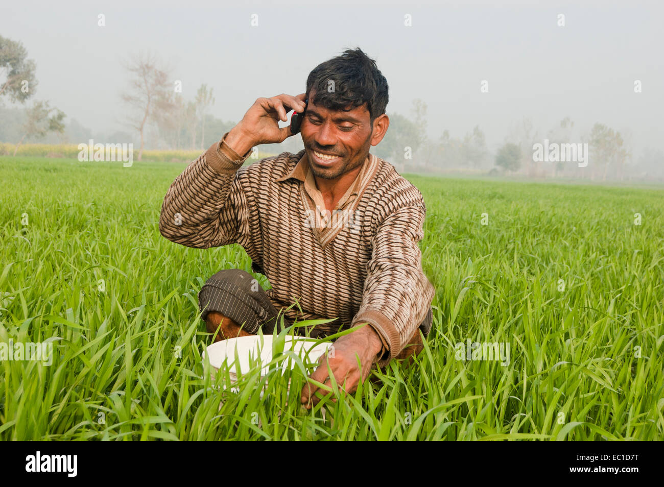 1 Indian Farmer Working in Farm and Talking with Mobile Stock Photo